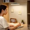 Baseus Magnetic Stepless lempa su jutikliniu skydeliu (pilka)