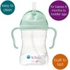B.BOX BB00520 Vandens butelis su šiaudeliu 240 ml pistacijų