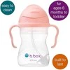 B.BOX BB00521 Vandens butelis su šiaudeliu 240 ml