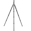 Benro Bat 24C+VX25