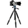 CLASSIC Benro vidaus klasikinis BICLT204