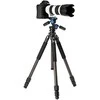 Benro Induro Classic BICLT203
