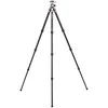 Benro Tortoise 14C+GX25