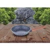PAN BERLINGER HAUS MIŠKO LINIJA 20CM BH-1190