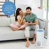 Drėkintuvas Boneco Beurer 266 m/h balta - Gaisa attiritajs