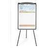 Flipgrap Bi-Office Ant Tripod 70x102cm saulÄ s magnetinÄ (GEA 230622124)