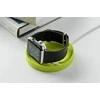 BlueLounge Costa stendas Apple Watch žalias (KA- GRN)