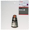 Bosch Stac.disk.pjūkl.diskas 254x30x60 multi material