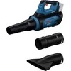 Akumuliatorinis lapų pūstuvas BOSCH GBL 18V-800