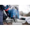 Bosch 3165140510042