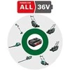 Bosch Starter SET 36 V 2Ah/ 2A Akum kroviklis 36V