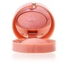 Bourjois Paris Rozos, skirtos skruostams 2,5 g Lilo D 'arba 33