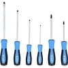 6 dalių atsuktuvų rinkinys KS TOOLS BT031000