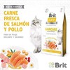 Brit Care Cat GF Haircare Healthy&Shiny Coat (lašiša&vištiena) 7kg