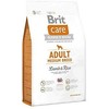 BRIT CARE Dog Adult Medium Breed su ėriena ir ryžiais 3kg