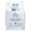BRIT CARE Dog Junior Large Breed su lašiša ir bulvėmis 3kg