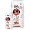 Brit Fresh Dog Jautiena su moliūgas Puppy Large 2,5kg