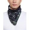 Kaklaskarė Buff Original Camo Cash Multi