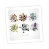 Buki France Apyrankes rinkinys, Buki Charms
