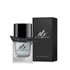 Mr. Burberry EDT tualetinis vanduo vyrams, 50 ml
