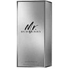 Burberry Mr. Burberry EDP parfumuotas vanduo vyrams, 100 ml