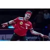 Stalo teniso raketė Butterfly Timo Boll Gold