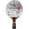 raketė ir stalo tenisas Butterfly Zhang Jike