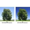 Filtras B&amp;W International B + W POLIZER DAUG TRANSMISSON CIRCULAR MASTER 77mm