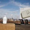 Unisex kvepalai Calvin Klein CK All EDT, 200 ml