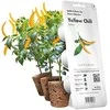 Click &amp; Grow sėklos išmaniajam vazonui - Čili pipirai, 3vnt.