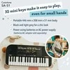 Vaikiškas sintezatorius Casio SA-51