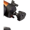 Kiwifotos 93625