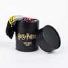 Cerdá Harry Potter 3páry