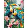 Cherry Pazzi CherryPazzi dėlionė Toucans Paradise 1000 det