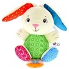 Chicco Muzikinis triušiukas Fluffy „FIRST LOVE“