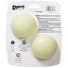 Chuckit! MAX GLOW M 2 vnt.. 6,5 cm