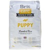 BRIT CARE Dog Puppy su ėriena ir ryžiais 3kg