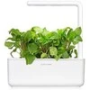 Click &amp; Grow sėklos išmaniajam vazonui - Valgomoji rūgštynė (SGR55x3) 3vnt.