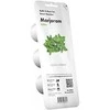 Click & Grow sėklos išmaniajam vazonui - Mairūnas, 3vnt.