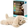 CLOUD B migdukas projektorius Dream Puppy