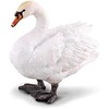 Collecta Figūrėlė Gulbė (M)