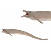 Collecta žuvis Basilosaurus XL, 88797