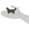 Collecta Figūrėlė Berno Zenenhundas (L)