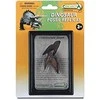 Collecta TRICERATOPS PAKUOTĖS KOLEKTAS