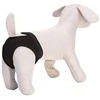 Cani Amici Croci Spa Kelnaitės skirtos kalėms 60cm 6dydis