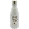 Cyp Brands Hello Kitty Leo stainless steel bottle 550ml