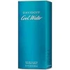 Kvepalai vyrams Davidoff Cool Water EDT, 200 ml