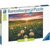 Ravensburger Dėlionė 500 vnt. - Laukas