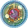 Ravensburger Apvali dėlionė 500 vnt. - Saldainiai