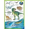 Ravensburger Dėlionė 2x24 vnt. - Dinozaurai